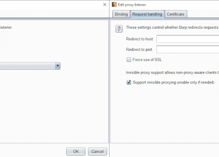 ComTech: Using Burp Suite to Discover Domains